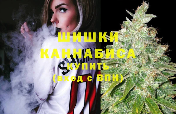 прущие грибы Верхнеуральск