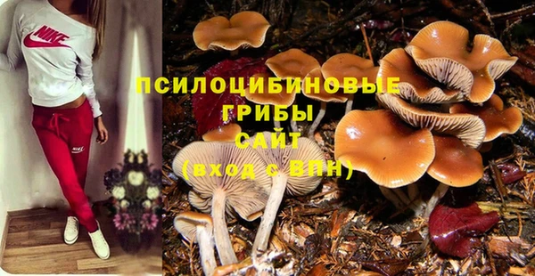 прущие грибы Верхнеуральск